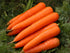 SeedsUA 2000 Giant Carrot Seeds Red Vegetable for Planting Giant Non GMO Seeds