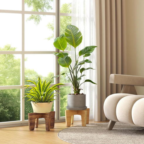 12") Plant Stands Indoor Outdoor, Plant Risers for Inside Pots Sturdy Short Plants Holder, Flower Pot Stand for Indoor