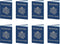 Beistle Set of 8 Around The World Passports, Global Adventure Travel Party Favors