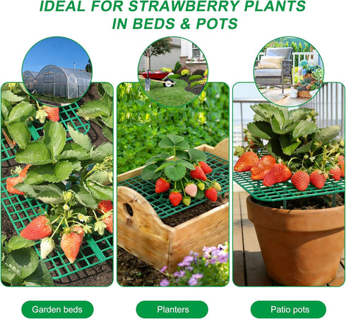 10 Pack Strawberry Plant Supports, Square Frames Keep Strawberries Off Ground, Reusable Strawberry Plant Stands
