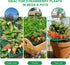 10 Pack Strawberry Plant Supports, Square Frames Keep Strawberries Off Ground, Reusable Strawberry Plant Stands