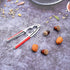 2 Nut Crackers Walnut Cracker Heavy Duty Shell Cracker Seafood Cracker Walnut Opener Tool with with Red Non-slip