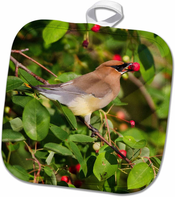 3D Rose Cedar Waxwing Eating Berry in Serviceberry Bush Pot Holder, 8 x 8
