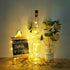 30 Pack 20 (30, Wine Bottle Lights with Cork, Battery Operated LED Cork Shape Silver Wire Fairy Mini String Lights(No