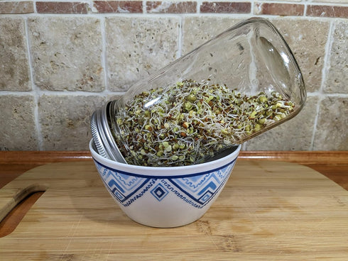 Pack Pack 10 2 packs Variety Sprouting Seeds Broccoli, Alfalfa, Radish, Mung beans & Salad Mix for Sprouts
