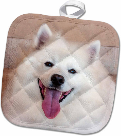 3D Rose Pot Holder, American Eskimo Dog Lying On The Patio, 8 x 8