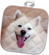 3D Rose Pot Holder, American Eskimo Dog Lying On The Patio, 8 x 8