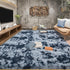 Tepook Soft Fluffy Rugs for Bedroom, 4x6 Area Rug for Living Room, Plush Throw Rug with Non-Slip Bottom