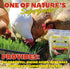 1lb Healthy Greens Wheatgrass Scratch Feed & Fodder Seed, Bag. Premium Wheat Berries, Non-GMO Wheatgrass for Backyard