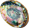 Hand Selected Abalone Shell - 6 Inches or Larger, Perfect for Incense and Trinkets