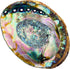 Hand Selected Abalone Shell - 6 Inches or Larger, Perfect for Incense and Trinkets