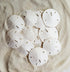 Tumbler Home White Sand Dollars, 10pcs, 3"-3.5" - Wedding Seashell Craft Sandollars