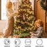 Set,2Pack 50Count 13Feet Bulb Hopolon Clear Christmas Lights Incandescent Mini String Lights with White Wire for Indoor