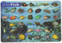 Painless Learning 12 x 17 1/2 inches Saltwater Fish Placemat