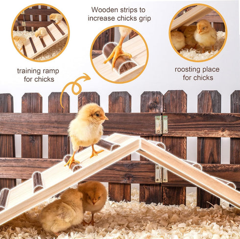 Chick Supplies, Chick Perch & Chicken Roost, Chick Stand Training Perches, Roosting, Wooden Chick Ramp Trainer, Chick