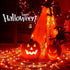 2PACK 13ft 50 String,120V Decor(2pcs) Hopolon Orange Halloween Lights, Orange Lights Fall String Light, Plug in Green