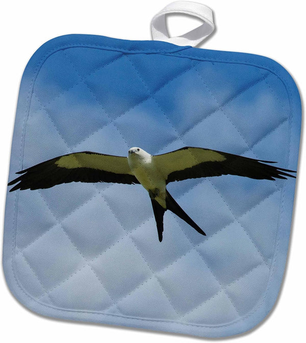 3D Rose Pot Holder, Swallow-Tailed Kite in Flight-Florida-USA, 8 x 8