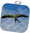 3D Rose Pot Holder, Swallow-Tailed Kite in Flight-Florida-USA, 8 x 8