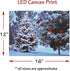 BANBERRY DESIGNS Lighted Christmas Tree & Cardinal Birds LED Canvas Print - Snowy Winter Scene Wall Art