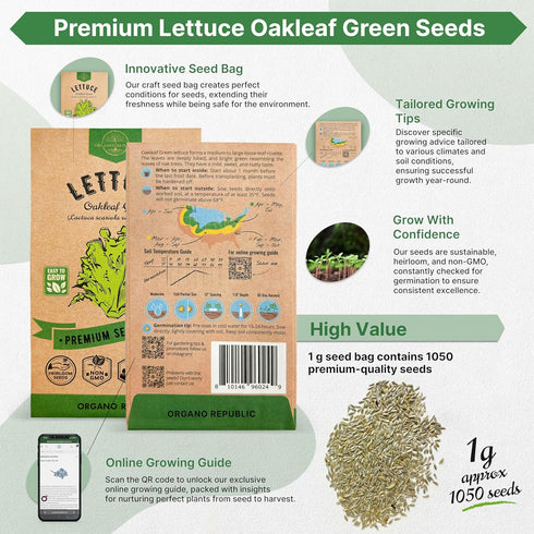 Pack 1 800 Packet, Organo Republic Lettuce Oakleaf Seeds G - Over Non-GMO Heirloom Lettuce Seeds for Planting Greens