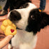 Bakerlogy Cute Paw Cookie Cutter, Small, 1 Piece