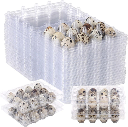 LayHyand 120 Pcs Quail Egg Cartons, Square Dozen Egg Basket, 3x4 Style Holds