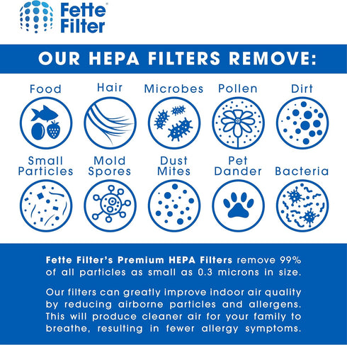 Fette Filter, Vacuum Filter Compatible with Rainbow R12179, R12647B, R10520, E2 Black, Pack of 1