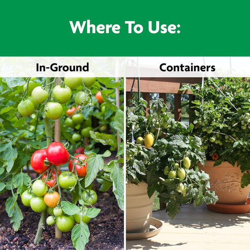 3 4.5 lb. Miracle-Gro Shake 'N Feed Tomato, Fruit and Vegetable Plant Food - Fertilizer for Vegetable Gardens