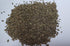 Liliana's Garden 60 White Carrot Lunar White - Sweet Carrots in Days | USA Grown Heirloom Seeds by |