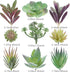 18 Pack Artificial Succulent Plants, Premium Fake Plants, Realistic Textured Cactus Decor