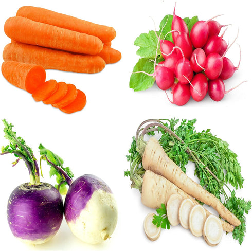 Sunutri Seeds Root Vegetable Seeds Variety Pack Carrot, Radish, Turnip & Parsnip Non-GMO Heirloom