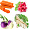 Sunutri Seeds Root Vegetable Seeds Variety Pack Carrot, Radish, Turnip & Parsnip Non-GMO Heirloom
