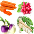 Sunutri Seeds Root Vegetable Seeds Variety Pack Carrot, Radish, Turnip & Parsnip Non-GMO Heirloom