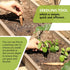Wooden DIY Newspaper Plant Pot Maker Set, Plant Seed Dibber for Grow Your Own Seedlings Gardening Tool