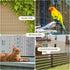 15.7IN 16.4FT 0.35" Unves Chicken Wire Plastic Mesh, x Fencing for Poultry Floral Dogs Rabbit Pets Barrier Netting