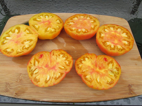 Hillbilly 30+ Heirloom Tomato Seeds- Seeds