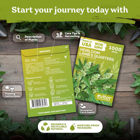 1000 Album) Packets KVITER Lambs Quarters Seeds (Chenopodium - Goosefoot, Wild Spinach, Edible Leaves, Heirloom Herbs