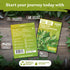1000 Album) Packets KVITER Lambs Quarters Seeds (Chenopodium - Goosefoot, Wild Spinach, Edible Leaves, Heirloom Herbs