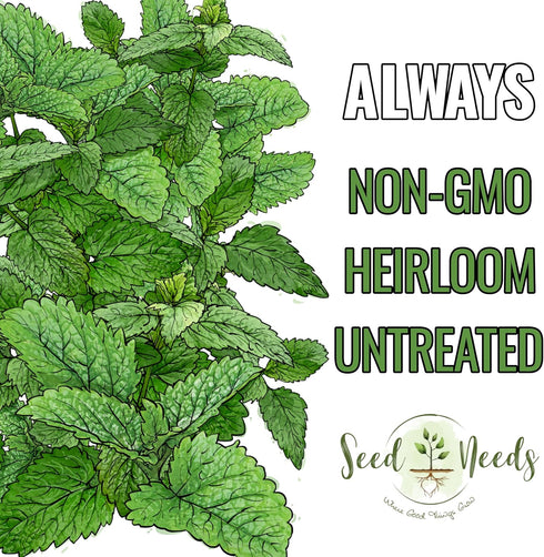 (1 Pack) Seed Needs Lemon Balm Seeds for Planting - Non-GMO, Heirloom & Untreated Perennial Medicinal Herb - Plant