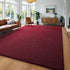 Burgundy Red Area Rugs for Bedroom Living Room, 4x6 Feet Indoor Memory Foam Rug, Modern Washable Shag Carpets