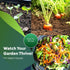 1000 Tendersweet Carrot Seeds for Planting - Heirloom, Non-GMO, USA Grown - by RDR Seeds