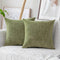 Home Brilliant Sage Green Spring Pillow Covers, Chenille Velvet Plush Decorative Throw Pillow, 2 Packs 18x18 inch