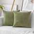 Home Brilliant Sage Green Spring Pillow Covers, Chenille Velvet Plush Decorative Throw Pillow, 2 Packs 18x18 inch