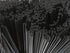 Tall Plastic Coffee Stir Sticks, 7 Inch Coffee Stirrer Sip Straws (Black, 1000)