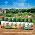 5-1-5 8 oz LEAVES AND SOUL Professional Liquid Herbs and Greens Fertilizer | Concentrate, Liquid Plant Fertilizer
