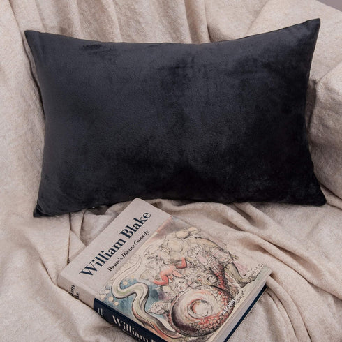 NTBAY 2 Pack Zippered Velvet Pillowcases, Super Soft Cozy Luxury Flannel, 20x30 Inches, Charcoal Grey