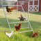 Chicken Perch Roosting Bars for Coop Farm Chicken Toys Roost Ladder for
