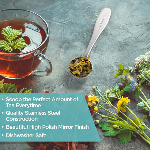 Loose Leaf Tea Spoon Measure, Stainless Steel Scoop for One Cup of Perfect Tea