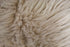 Nouvelle Legende Faux Fur Sheepskin Rug, Single, Soft Plush Accent Rug, 23" x 40", Brown