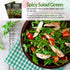 5 Packs Survival Garden Seeds - Arugula Seeds for Planting - with Instructions to Grow Garden Rocket Green Leafy